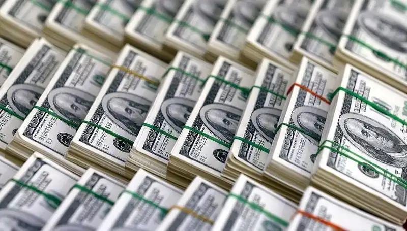 Doların Hızla Yükselmesi Bekleniyor: Ekonomistler Uyarıyor