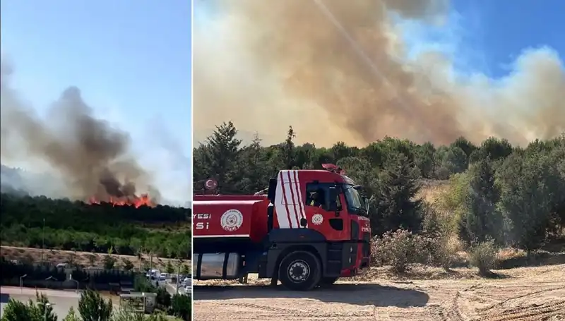 Gebze'de Orman Yangını: Hızla Yayılıyor, Ekipler Seferber Oldu