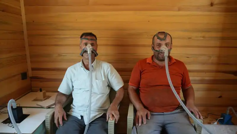 Alerji ve Astıma Doğal Çözüm: Şifayı Bulmanın Yolları