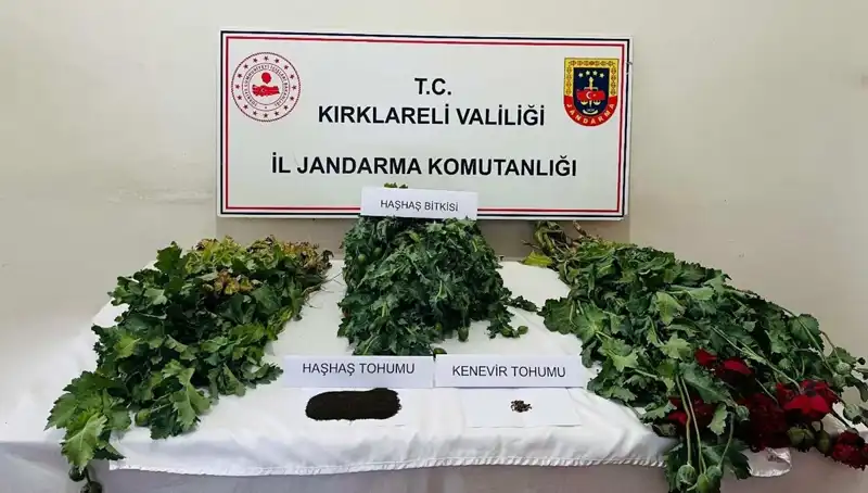 Kırklareli'nde Büyük Uyuşturucu Operasyonu: 8 Gözaltı!