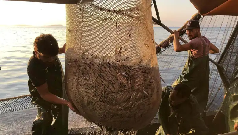 Balıkçılar İhlaller Üzerine Grev Kararı Aldı: Cezalar Artıyor