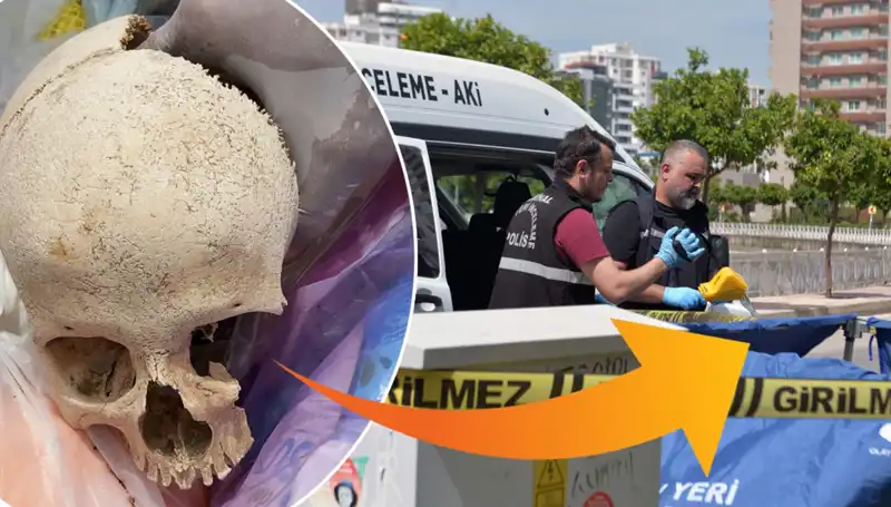 Çöp Alanında Bulunan Kafatasının Şaşırtan Sırrı ve Gözaltındaki Doktor!