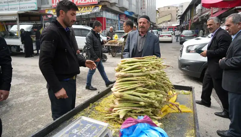 Dağlık Arazilerden Toplanan Şekerin Sağlık Faydaları Neler?