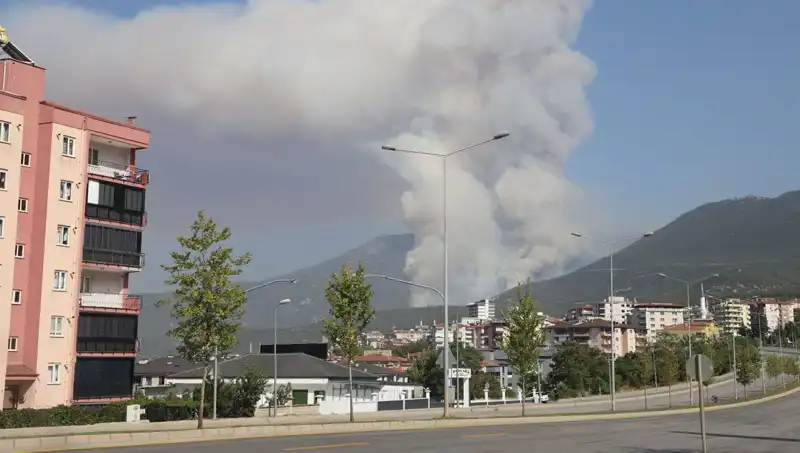 Denizli Orman Yangınında Sırrı Çözülen Şüpheli Kim?