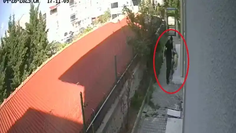 Veteriner Doktoru, Sahiplendiği Köpekleri Eve Getirip Katletti