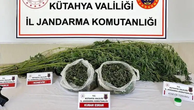 Kütahya'da Uyuşturucu Ele Geçirildi: Operasyonda Bir Gözaltı