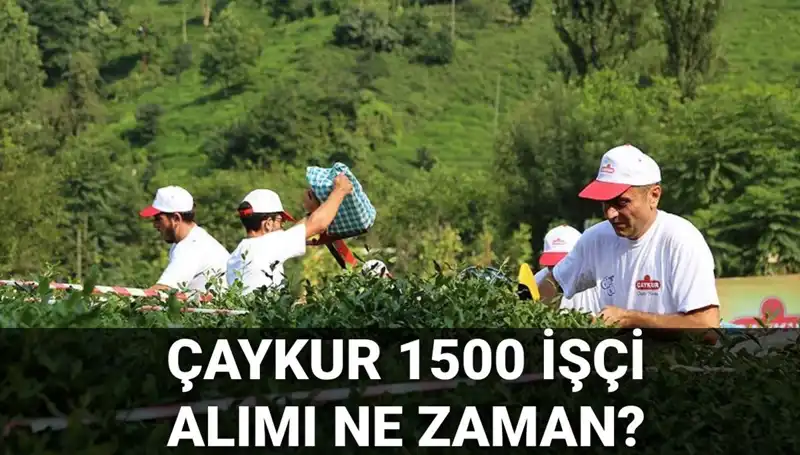 Çaykur İşçi Alımı İçin Başvuru Tarihi Açıklandı: Son Durum Nedir?