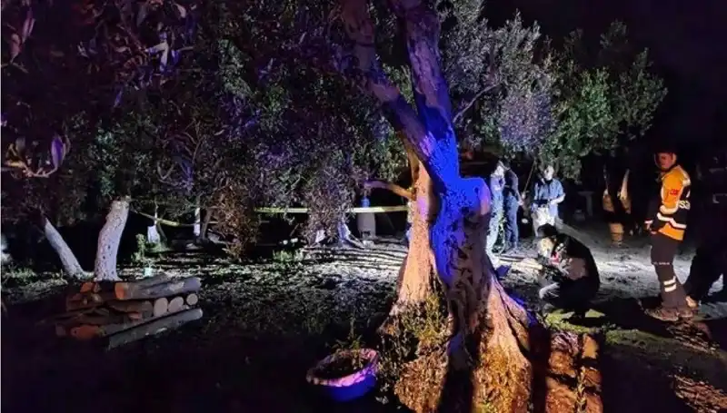 Çiftlikte Baltalı Vahşet: Gerçekler Ortaya Çıktı, Bir Tutuklama Yapıldı