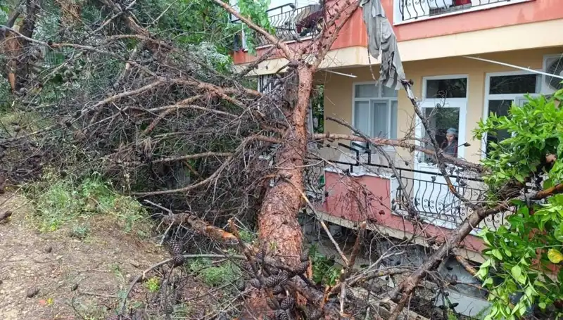 Yağmur, Yüksek Bina İçin Sonun Başlangıcı Oldu: Çöken Yapının Hikayesi