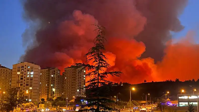 Bursa'da Yangınlar Sokağa Taşındı: Nedenleri ve Son Gelişmeler