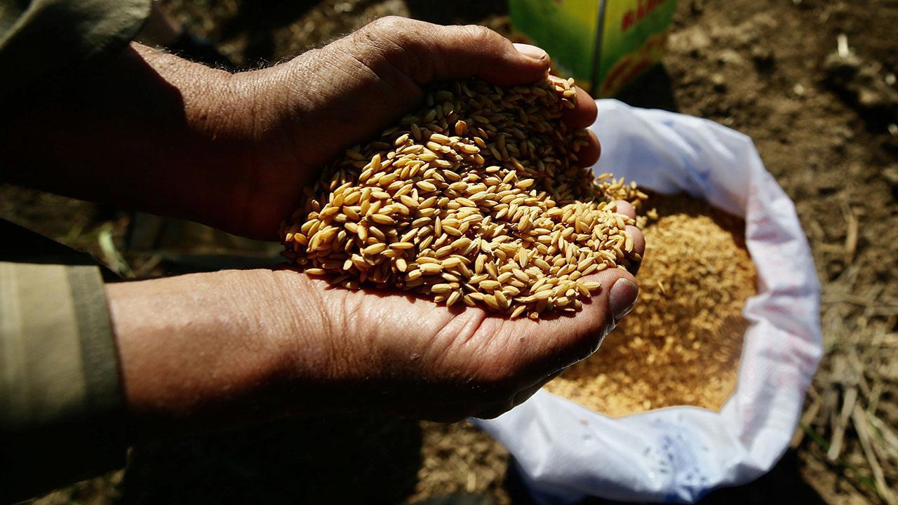 Ata tohumları artık Tarım Kredi marketlerinde!