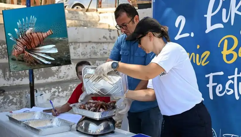 Antalya'da İstilacı Aslan Balığı Avlama Yarışması: Doğaya Dönüş İçin Bir Adım