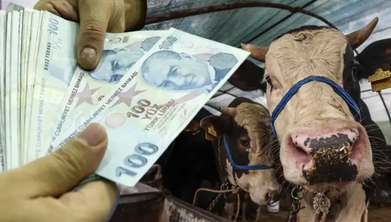 Kurban Bayramı Öncesi Emekliler ve Memurlar İçin Müjdeli Gelişme!